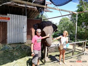 Baby Elephant Place, Thailand